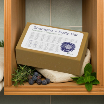 Shampoo + Body Bar (Juniper & Peppermint) - Shampoo And Body Bar
