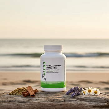 Central Nervous System - Central Nervous System Supplement