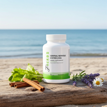 Central Nervous System - Central Nervous System Supplement