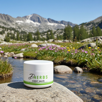 Chest Salve - Herbal Chest Rub