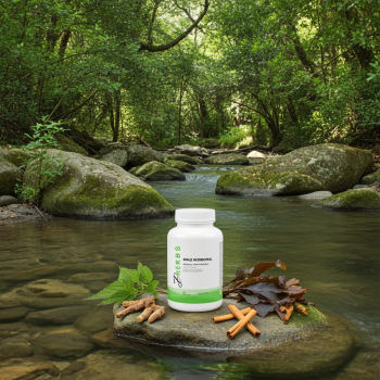 Male Hormonal Formula - Male Hormone Balance Supplement (100 Capsules)