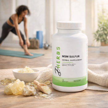 MSM Sulfur - Organic Sulfur Supplement (100 Capsules)