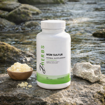 MSM Sulfur - Organic Sulfur Supplement (100 Capsules)