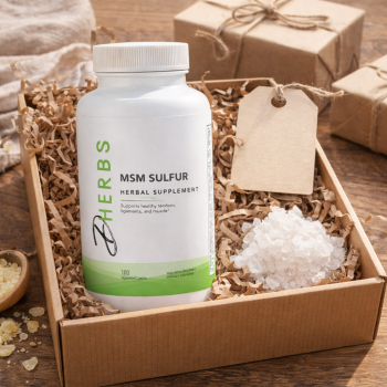 MSM Sulfur - Organic Sulfur Supplement (100 Capsules)