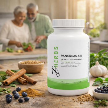 Pancreas Aid - Herbal Supplement for Pancreas Health (100 Capsules)