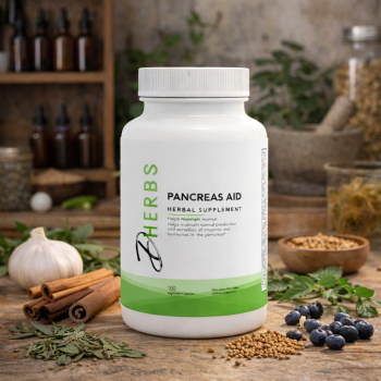 Pancreas Aid - Herbal Supplement for Pancreas Health (100 Capsules)