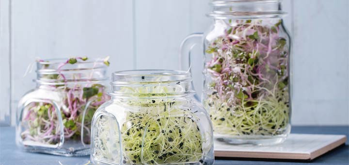 Pineapple Sprouts Explosion Salad