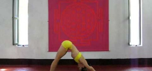 ASHTANGA YOGA Kino Macgregor at PURPLE VALLEY: Yoga, retreat Goa
