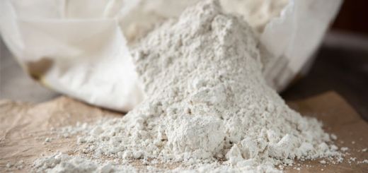 5 Benefits And Proven Uses Of Diatomaceous Earth