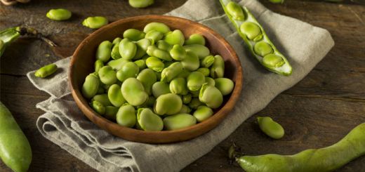 fava-beans