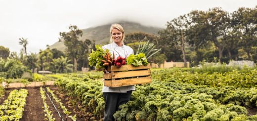 farm-to-table
