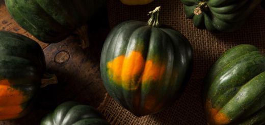 acorn-squash