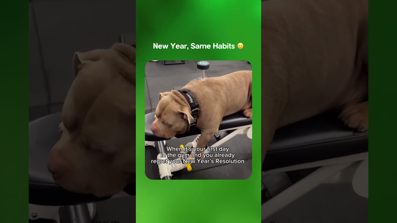 New Year, Same Habits