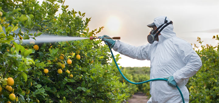 2026 Dirty Dozen And Clean 15 Lists