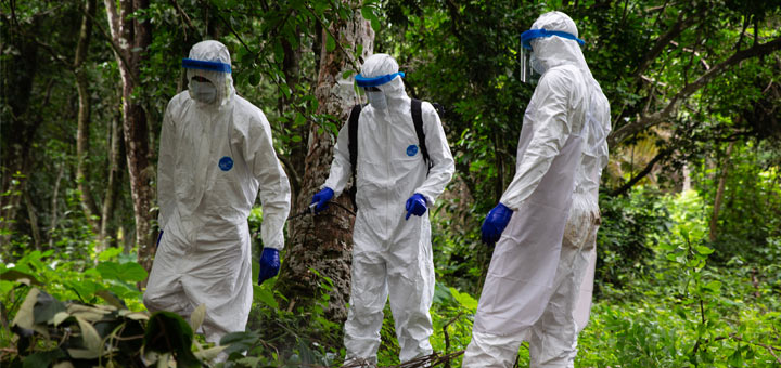 The Current Ebola Outbreak Spirals Out Of Control